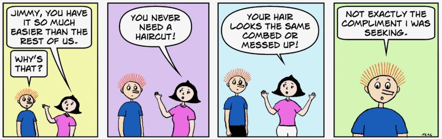 Web comic strip on haircuts